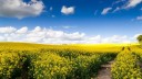 Графік роботи 7-9 травня
